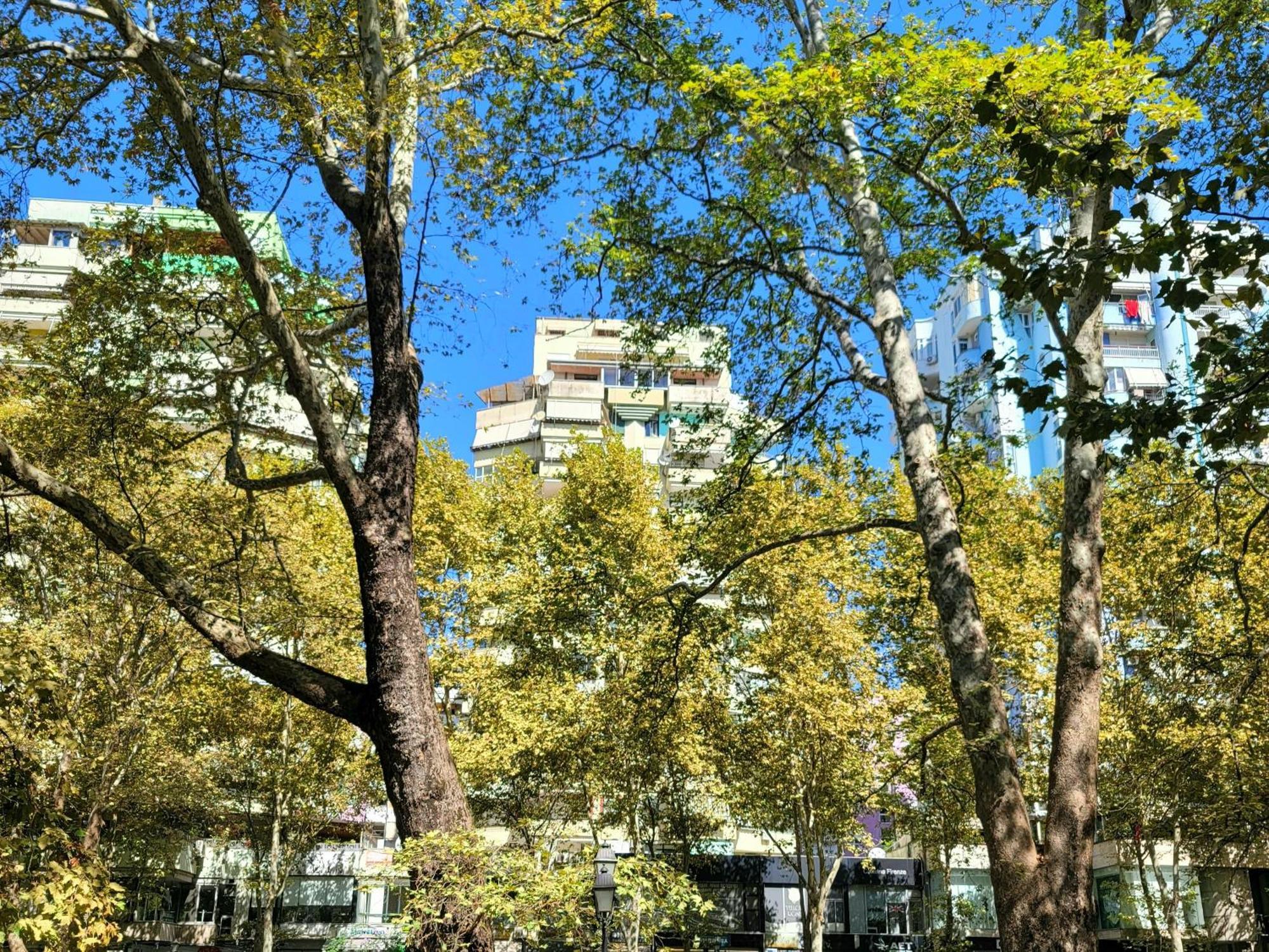 Panoramic Apartment Tiranë Ngoại thất bức ảnh